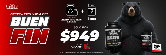 BUEN FIN 2025